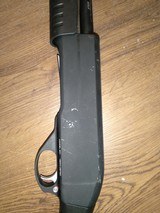 CHIAPPA HONCHO - 4 of 6