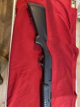 HATFIELD escort - 2 of 7