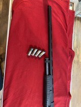 HATFIELD escort - 6 of 7