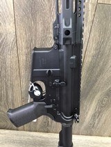 PALMETTO STATE ARMORY PA-15 MULTI - 4 of 4