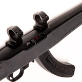 RUGER 10/22 - 4 of 4