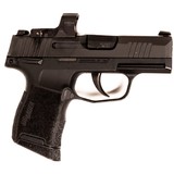 SIG SAUERP365 - 3 of 4