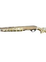 LEGACY SPORTS INTERNATIONAL POINTER - 3 of 4