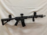 PALMETTO STATE ARMORY PA-15 - 1 of 4