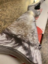 RUGER 10/22 - 6 of 6