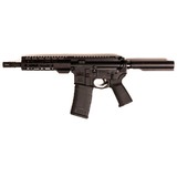 PALMETTO STATE ARMORY PA-15 - 1 of 5