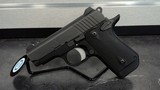 KIMBER Micro Carry 380 - 1 of 2