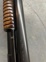 WINCHESTER 12 - 6 of 7