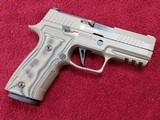 SIG SAUER P320 AXG Scorpion - 2 of 3