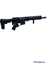 PALMETTO STATE ARMORY PA-15 - 1 of 2