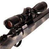 BERGARA B-14 - 5 of 6