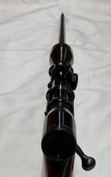 WINCHESTER 70 (PRE 64) - 4 of 7