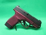 SPRINGFIELD ARMORY HELLCAT - 2 of 6