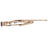 WINCHESTER WINCHESTER SX4 - 3 of 4