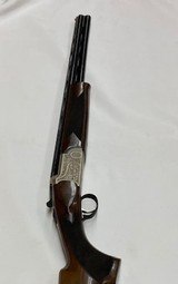 TRISTAR SETTER - 2 of 7