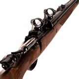 CZ WHITWORTH - 4 of 6