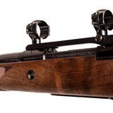 CZ WHITWORTH - 5 of 6