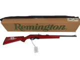 REMINGTON 597 Dale Jr Limited Edition w/Original Box, Manuals, Magazine - 1 of 7