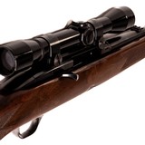 WINCHESTER 100 - 5 of 6