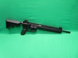 DPMS DA-15 custom - 1 of 5