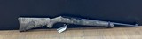 RUGER 10/22 - 1 of 5