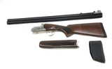 LEGACY SPORTS Pointer - 6 of 7