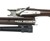 LEGACY SPORTS Pointer - 5 of 7