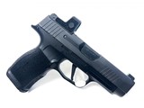 SIG SAUER 365XL - 1 of 2
