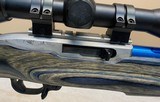 RUGER 10/22 Custom w/BSA 3-9x50 Scope, Grey Laminate Stock, Bipod & More .22 LR - 2 of 7