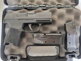 SIG SAUER P365 LE - 1 of 5