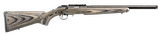RUGER AMERICAN RIMFIRE TARGET - 1 of 2