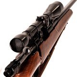 SAKO L579 FORESTER - 4 of 4