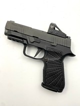 Sig Sauer P320 AXG Classic - 1 of 7