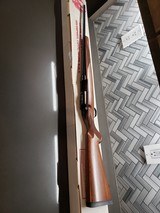 RUGER 77/22 HORNET 7201 - 7 of 7