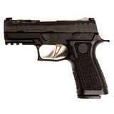 SIG SAUER P320 XCARRY - 2 of 4