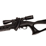 RUGER 10/22 - 4 of 6