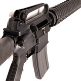 COLT SPORTER TARGET MODEL - 7 of 7