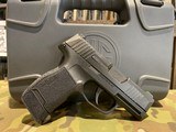 SIG SAUER P365 NITRON - 1 of 1