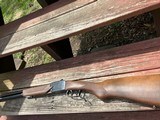 CHIAPPA FIREARMS Double Badger - 1 of 4