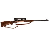 WINCHESTER Model 70 PRE 64 - 3 of 5