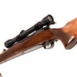 WINCHESTER Model 70 PRE 64 - 5 of 5