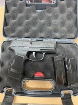 SIG SAUER P365 NITRON - 4 of 4