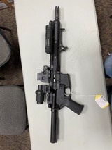 PALMETTO STATE ARMORY PA-15 Custom - 1 of 5
