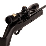 RUGER 10/22 FIFTY YEARS 1964-2014 - 5 of 6