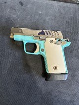 SPRINGFIELD ARMORY 911 NITRIDE 380 AUTO - 1 of 2