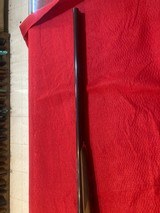 GAMBA oxford - 4 of 7