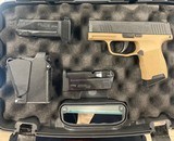 SIG SAUER P365 - 1 of 1