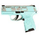 SIG SAUERP365 - 1 of 3