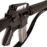 COLT SPORTER TARGET - 3 of 3