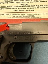 SPRINGFIELD ARMORY 911 NITRIDE 380 AUTO - 2 of 3